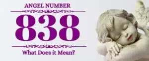 838 Angel Number